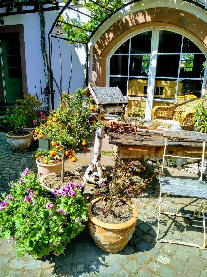 Willkommen In Unserem Kleinen Paradies Venningen Luaran gambar