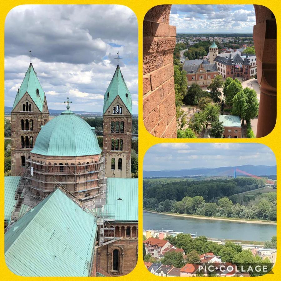 Willkommen In Unserem Kleinen Paradies Venningen Luaran gambar